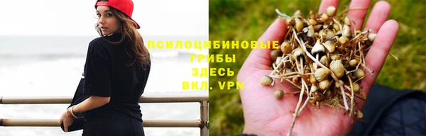 СК Алзамай