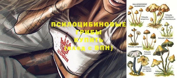 СК Алзамай
