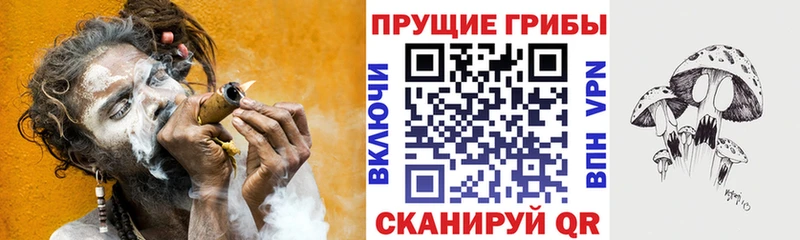 блэк спрут рабочий сайт  Перевоз  Псилоцибиновые грибы Cubensis 